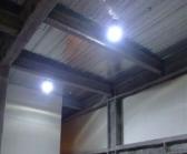 ELA100������